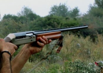 Δολοφονία στη Σκύδρα: Τον σκότωσε γιατί νόμιζε ότι του κλέβει ροδάκινα – «Είχε φαντασιώσεις ότι του έκανε ζημιά συνέχεια, τον έβριζε»