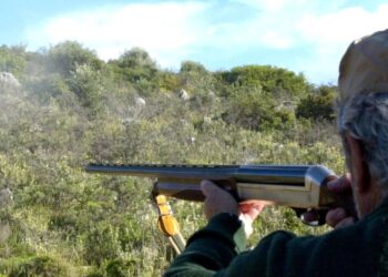 Δολοφονία στη Σκύδρα: Προφυλακιστέος ο 76χρονος – «Θόλωσα» φέρεται να είπε ο κατηγορούμενος