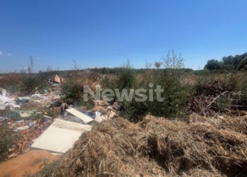 Δολοφονία στη Σκύδρα: Ξεσπά ο ξάδελφος του 76χρονου που σκότωσε τον 72χρονο – «Δεν μπορείς να αφαιρείς μια ψυχή για ένα ροδάκινο»