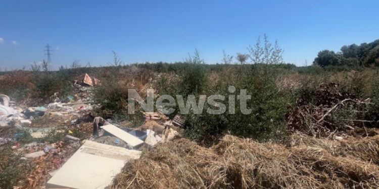 Δολοφονία στη Σκύδρα: Ξεσπά ο ξάδελφος του 76χρονου που σκότωσε τον 72χρονο – «Δεν μπορείς να αφαιρείς μια ψυχή για ένα ροδάκινο»