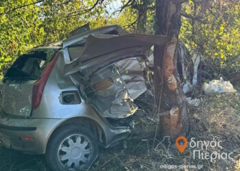 Πιερία: Συγκλονίζει η γιαγιά της 9χρονης που σκοτώθηκε στο τροχαίο – «Οι γονείς της είναι σε σοκ, τα παιδιά φορούσαν ζώνη»