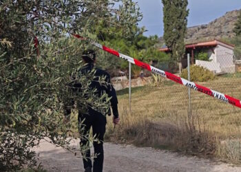 Νέα Πέραμος: «Τον είχε πνίξει, έλεγε ότι αν πάει σπίτι θα τον σκοτώσει» – Το βίαιο παρελθόν πίσω από την αδελφοκτονία