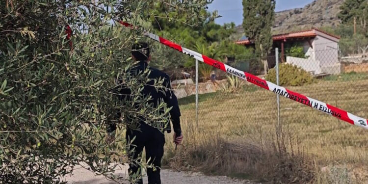 Νέα Πέραμος: «Τον είχε πνίξει, έλεγε ότι αν πάει σπίτι θα τον σκοτώσει» – Το βίαιο παρελθόν πίσω από την αδελφοκτονία