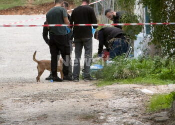 Σαλαμίνα: Με μαχαιριές στα χέρια η 75χρονη που δολοφόνησαν μέσα στο σπίτι της – «Τη σκότωσαν με τον χειρότερο τρόπο»