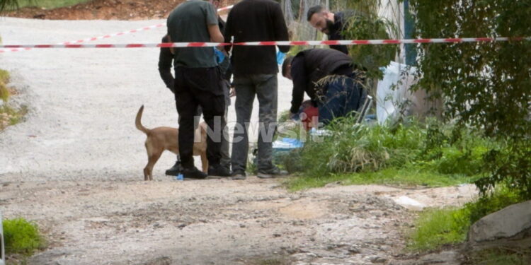 Σαλαμίνα: Με μαχαιριές στα χέρια η 75χρονη που δολοφόνησαν μέσα στο σπίτι της – «Τη σκότωσαν με τον χειρότερο τρόπο»