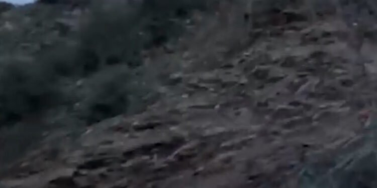 Ευρυτανία: Τροχαίο με έναν νεκρό όταν αυτοκίνητο έπεσε σε γκρεμό 300 μέτρων