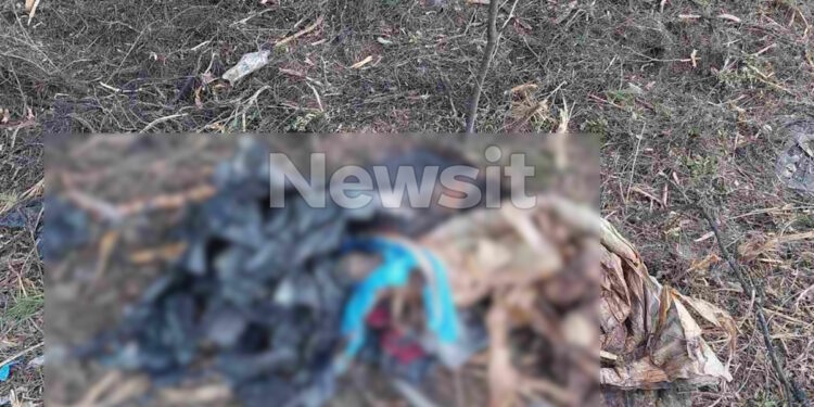 Χαλκιδική: «Η γυναίκα της κόκκινης βαλίτσας μπορεί να είναι η κόρη μου» λέει πατέρας αγνοούμενης