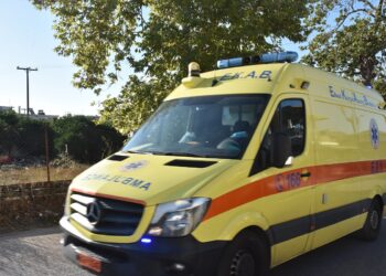 Μεσσηνία: Νεκρός 66χρονος που έπεσε σε ρόδες φορτηγού – Τα σενάρια και το σημείωμα