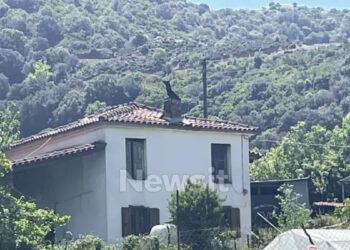 Αιτωλοακαρνανία: Ισόβια στον 68χρονο πρώην αστυνομικό που σκότωσε τον 95χρονο πατέρα του