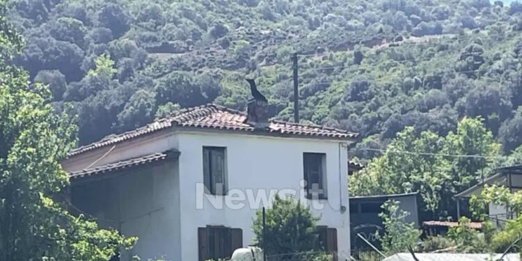 Αιτωλοακαρνανία: Ισόβια στον 68χρονο πρώην αστυνομικό που σκότωσε τον 95χρονο πατέρα του