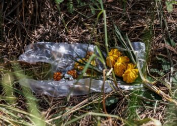 Σοκ με δολοφονία 4χρονου στην Αυστραλία: Μητέρα σκότωσε τον γιο της – Ερευνάται για κανιβαλισμό