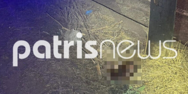 Ηλεία: Τραγωδία στην άσφαλτο – Νεκρός 55χρονος που επέστρεφε από την παραλία με το μηχανάκι